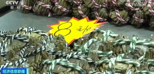 金華正大量上市，價格大跳水！水產(chǎn)品批發(fā)需注意這些問題