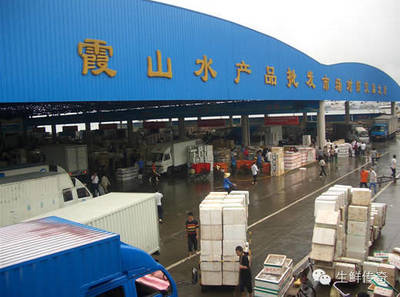 讓天下沒有難賣的魚蝦！探秘中國主要水產品批發市場