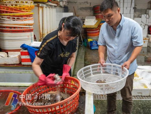 假期熱門海鮮價(jià)格跳水，消費(fèi)者成最大贏家